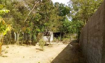 Imagem 7: Chácara 3.500 mts em bela vista