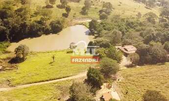 Imagem 3: Chácara 7.97 alqueires (38,57 hectares) Cromínia - GO