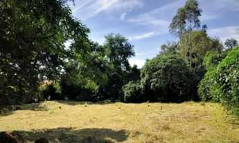 Imagem 5: O melhor lote do condo! Central, plano e limpo!