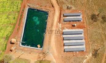 Imagem 7: Fazenda com pivô em Unaí em Minas Gerais, à venda com 125ha