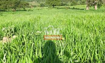 Imagem 2: Fazenda em Baliza-GO. Área Total: 820 Alqueires (3.949 Há)