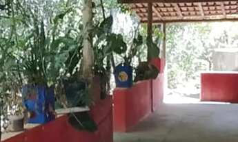 Imagem 3: Br 135 Saída Bocaiúva, Chácara 2.000 M²..150.000.00