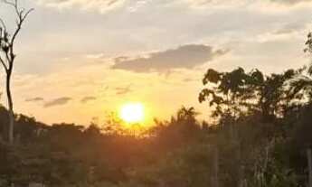 Imagem 5: Vendo 15x50 M2 KM35 AM-010