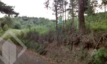 Imagem 12: Propriedade Rural no bairro Ana Rech