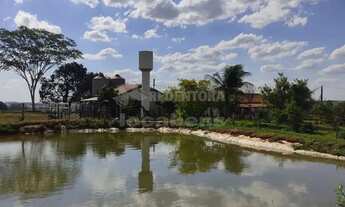 Imagem 3: Sítio a 2 km da cidade de Tanabi, com 2.5 alqueires (60.500m²), com casa, curral, tanque d