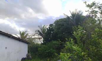 Imagem 5: VENDO SÍTIO EM ALAGOINHAS
