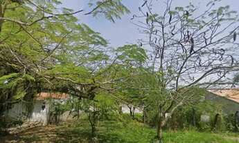 Imagem 2: Itaipu campo belo lindo lote em ótimo local pertinho trevo itacoatiara