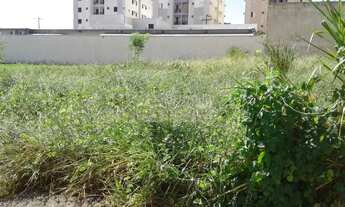 Imagem 4: Higienópolis - Área em rua residencial e comercial 660 m² ótimo para comércios em geral