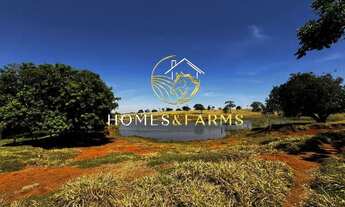 Imagem 5: Fazenda à Venda em Goiás