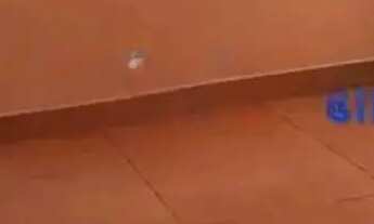 Imagem 4: Apartamento a venda condominio 10 Rocha Miranda. Documentado