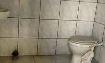 Imagem 5: Arsenal Imóveis Aluga-Casa na rua Ana Cigana com 3 quartos e quintal