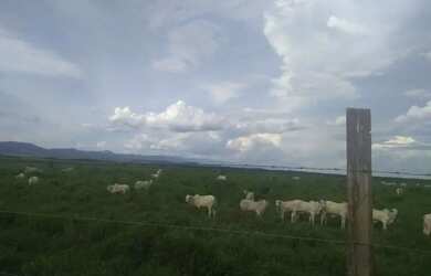 Imagem: Imóvel para venda com 1742400 metros quadrados