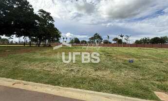 Imagem 2: Lote no Jardins Amsterdã