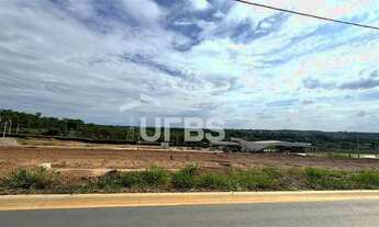 Imagem 7: VINHAS FLAMBOYANT