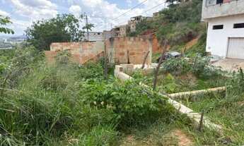 Imagem 5: Meio Lote Castanheira Santa Luzia