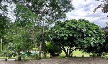 Imagem 7: SITIO Lomba Grande Novo Hamburgo