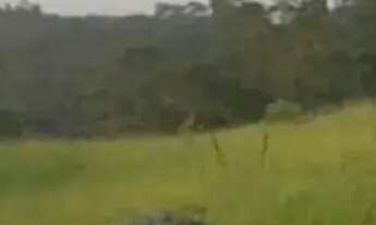 Imagem: Lotes na região de São Roque - SP interior