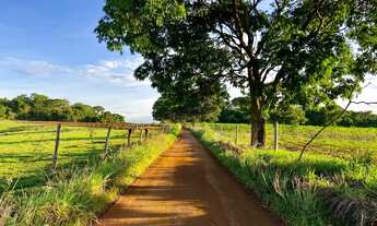 Imagem: Chácara de 6.000 m2 - Plana, Energia, Só