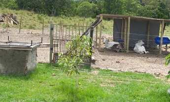 Imagem 3: Chácara de 1 alqueire em Faina GO