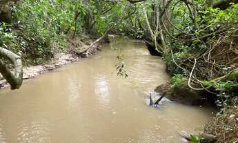 Imagem 3: Chácaras cercadas e com córrego em Cromínia!