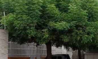 Imagem: Apartamento em Camboinha, 2 quartos