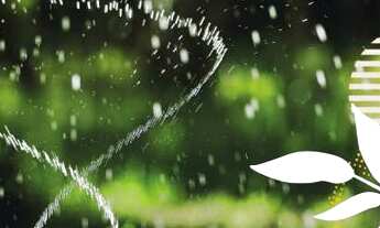 Imagem 6: Casa em Condomínio Terra Brasilis, Fortaleza ,Eusébio, Aquiraz CE