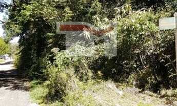 Imagem 4: Terreno para Venda em Alpes Verdes Canela-RS