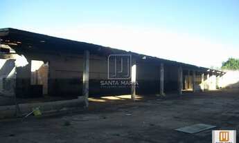 Imagem 7: Salão/Galpão (salão - térreo