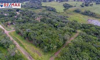 Imagem 4: Chácara à venda, 1000 m² por R$ 150.000 - Borda Do Campo - São José dos Pinhais/PR