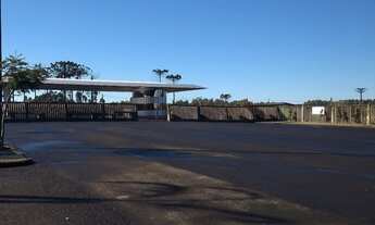 Imagem: Lote, Industrial, Linha Palmeiro