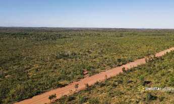 Imagem 5: Fazendas em Tocantins