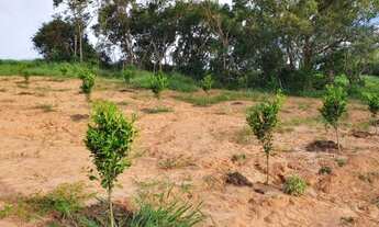 Imagem 3: Fazenda em são gonsalo do sapucai 111 hec 10.200.000.00 ( elice