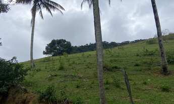 Imagem 2: Uma vida mais saudável em um lugar mais saudável!. À venda chácara 2,5 alqueires