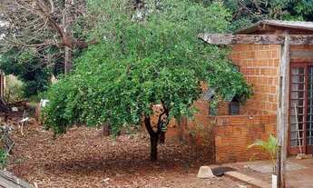 Imagem 6: Terreno OPORTUNIDADE NO SÃO FRANCISCO