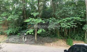 Imagem 4: São Paulo - Casa Padrão - Parque Munhoz