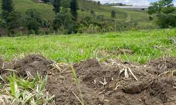 Imagem 2: Lote/Terreno para venda tem 1000 metros quadrados em Rio Comprido - Jacareí - SP