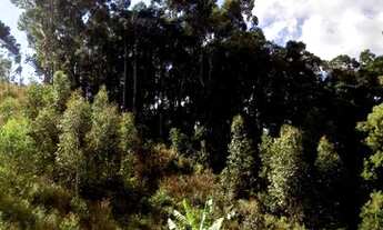 Imagem 6: Sítio na serra com ponto comercial