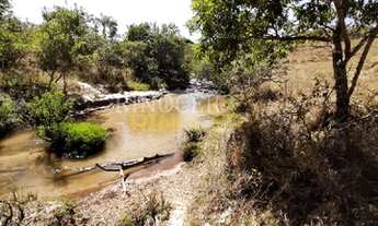 Imagem: SITIO à venda, Rural, Ibiraci