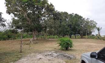 Imagem 3: Chácara no ramal da Zezé