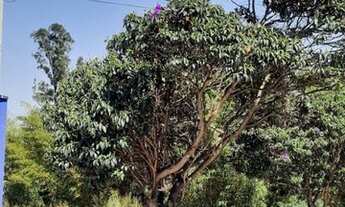 Imagem 2: TERRENO - JARDIM ALICE - SP