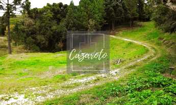 Imagem 5: Fazenda para Venda em Tunas do Paraná com nascente as margens da Estrada da Ribeira