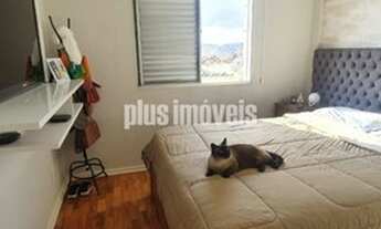 Imagem 3: Alto da lapa 65m² 2 dts 1 vaga