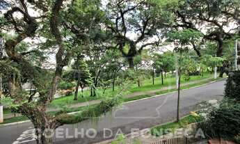 Imagem 4: São Paulo - Casa Padrão - Alto de Pinheiros