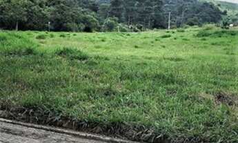 Imagem 4: AREA - ALPHAVILLE - SP