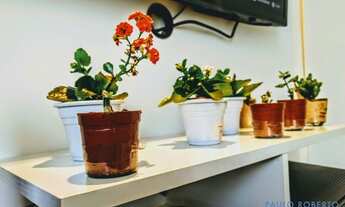 Imagem 2: APARTAMENTO - ACLIMAÇÃO - SP