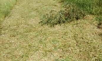 Imagem 6: Chácara 3000 Mts.2 Jardim Planalto - Monte Mor - SP