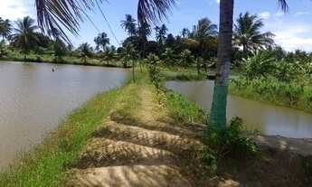 Imagem 5: VENDO UMA ILHA EM PIAÇABUÇU