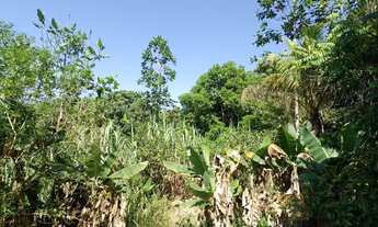 Imagem 7: Vendo Sítio Guapimirim