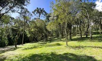 Imagem 2: Sítio a venda em Urubici/chácara a venda em Urubici