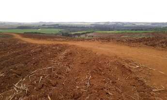 Imagem 2: Fazenda 46 Alqueires, Região de Piracicaba-Sp
